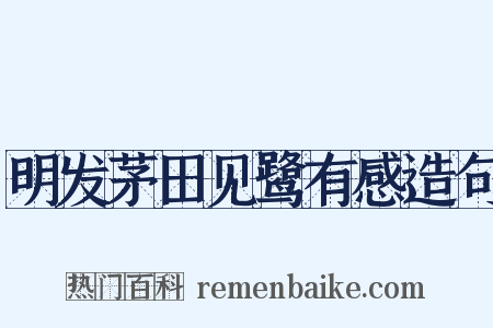 明发茅田见鹭有感造句是什么意思的图片